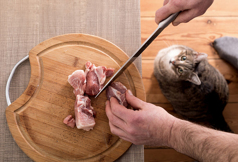 cat looking up at person chopping up raw meat on cutting board